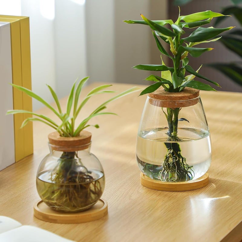 Layhit 4 Pcs Plants Propagation Stations vases Glass Planters with Wooden Lid and Bamboo Stand for Hydroponic Plants Gardening Gifts for Women Mom Home Office Tabletop Decoration(Lovely Style) - Image 3